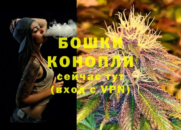 СК Балахна