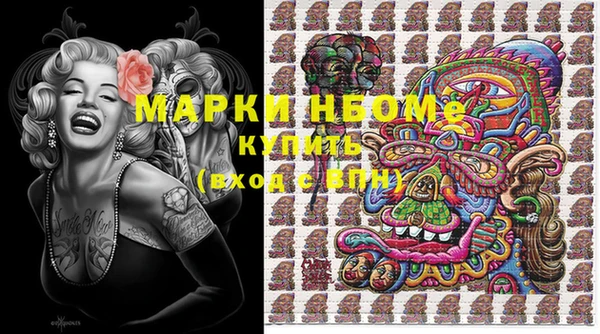 шишки Баксан