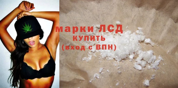 шишки Баксан