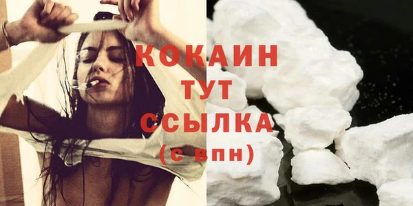 шишки Баксан