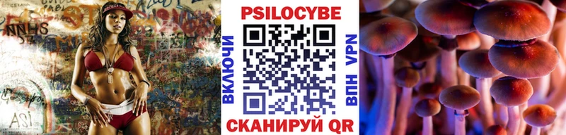 Псилоцибиновые грибы MAGIC MUSHROOMS  купить наркотики цена  Бирюч 